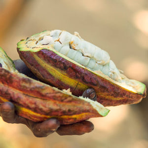 Hořká čokoláda 100% Madagaskar s kousky kakaových bobů - Menakao